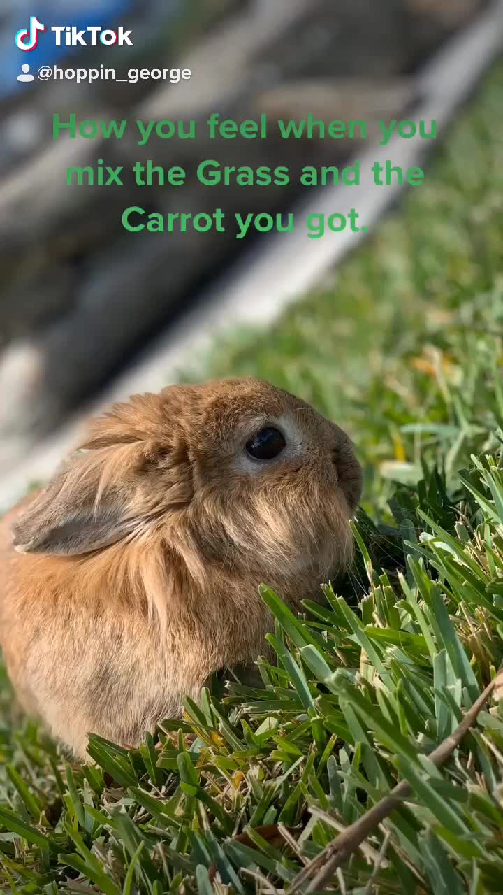 @AaronTheApollo