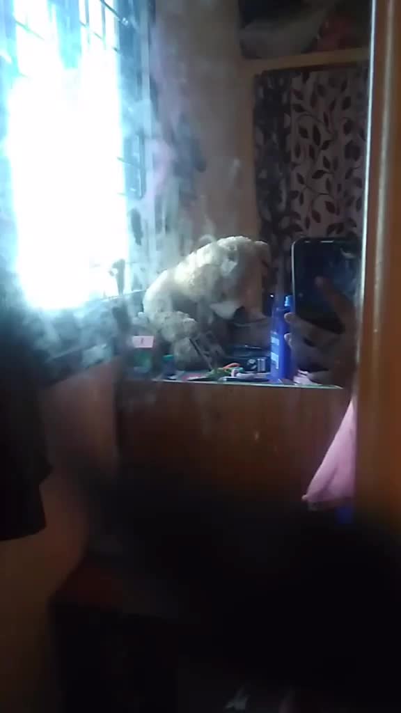 @aditibanki015
