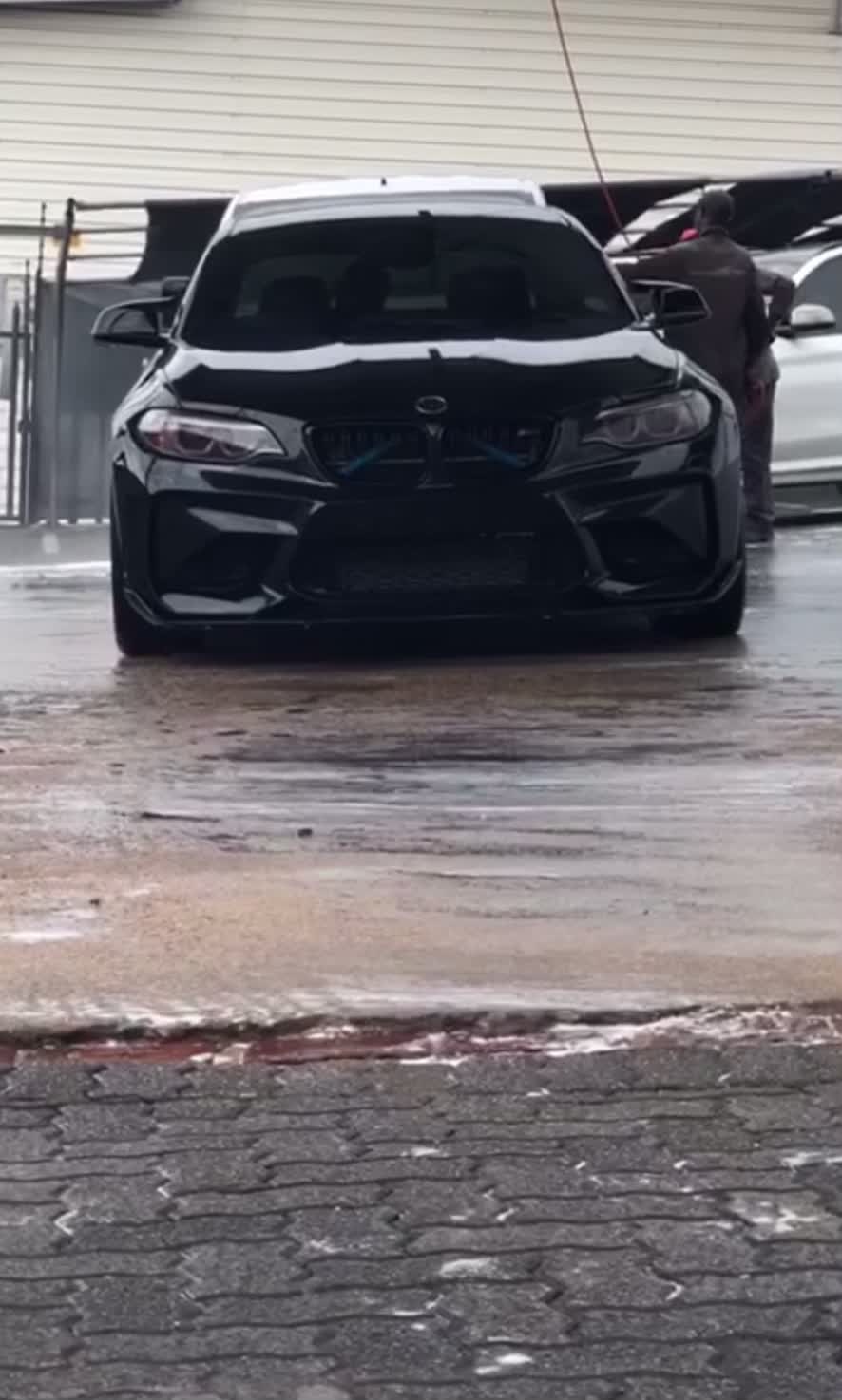@Dark Stallion