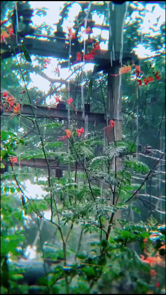 @G K Nilambur