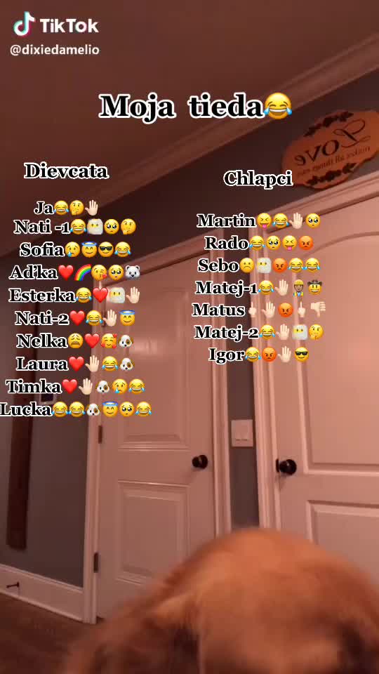 @charlidamelio