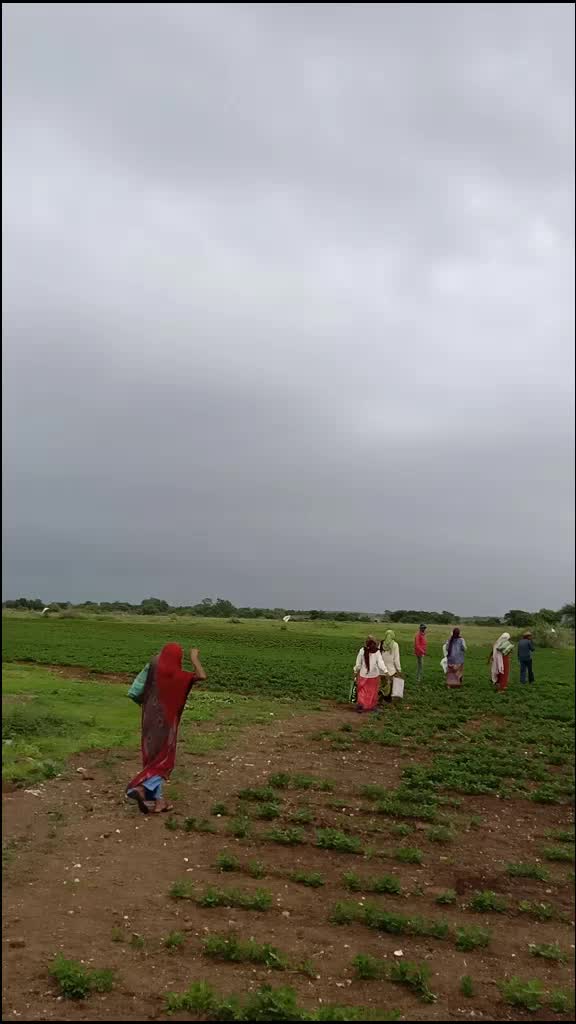 @phjadeja8341