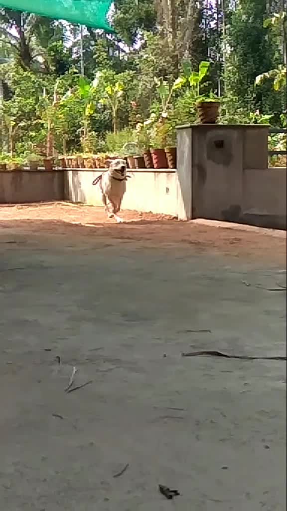 @premnihara