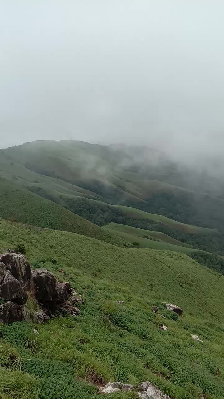 @ದೀಕ್ಷಿ ಮೂಡಿಗೆರೆ