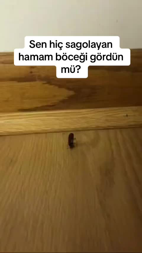 @Recotay