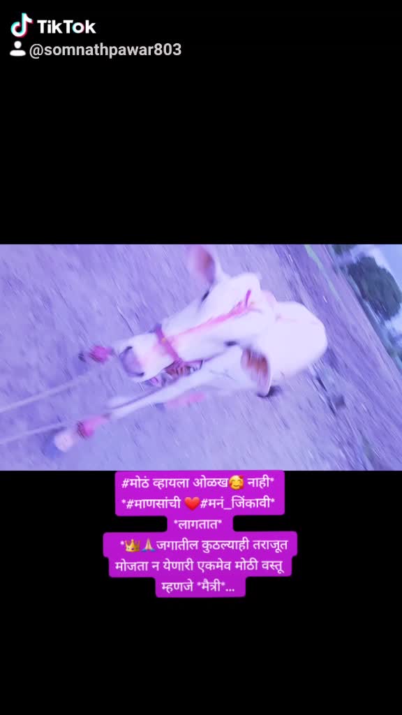 @Somnath Pawar