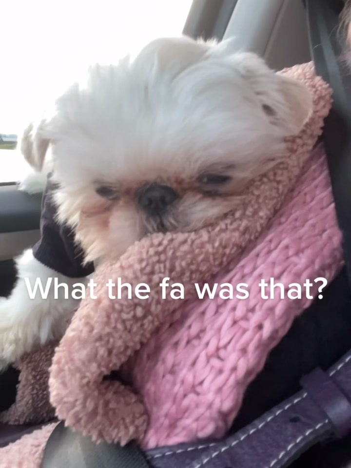 @Cashew