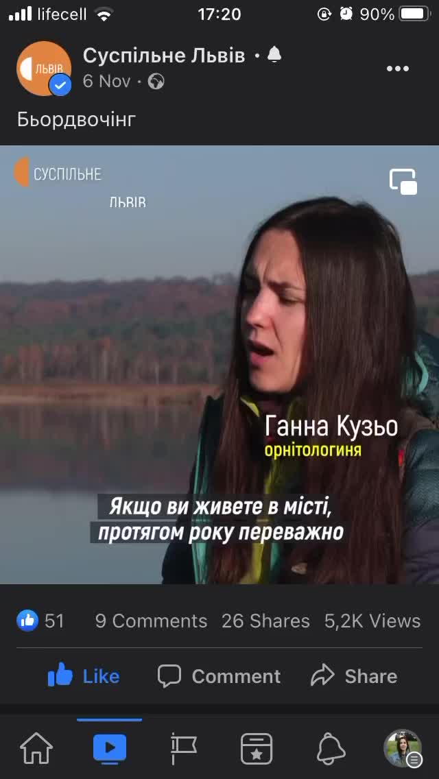 @Птахи, бьордвочинг, орнітолог