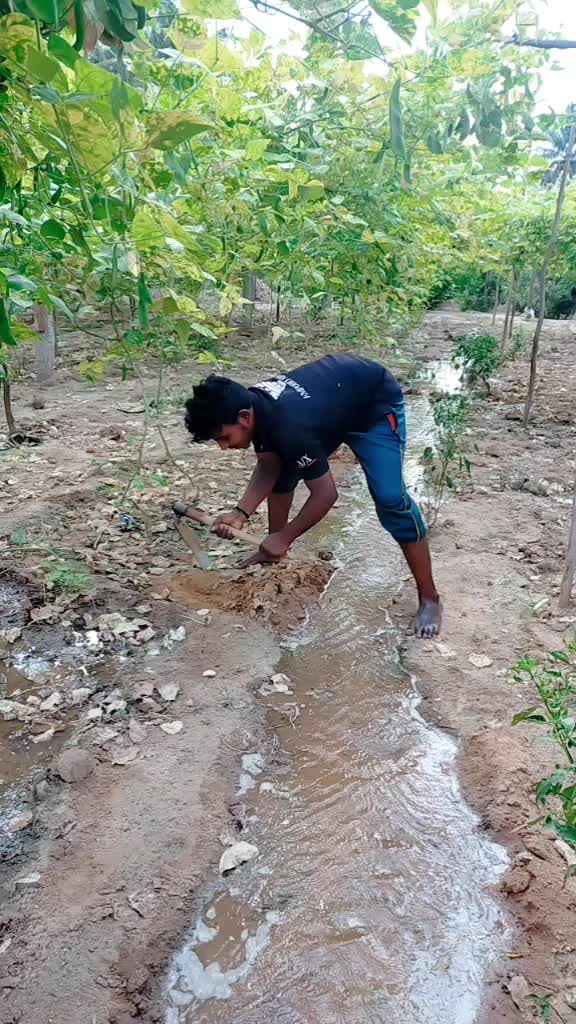 @appu 8585