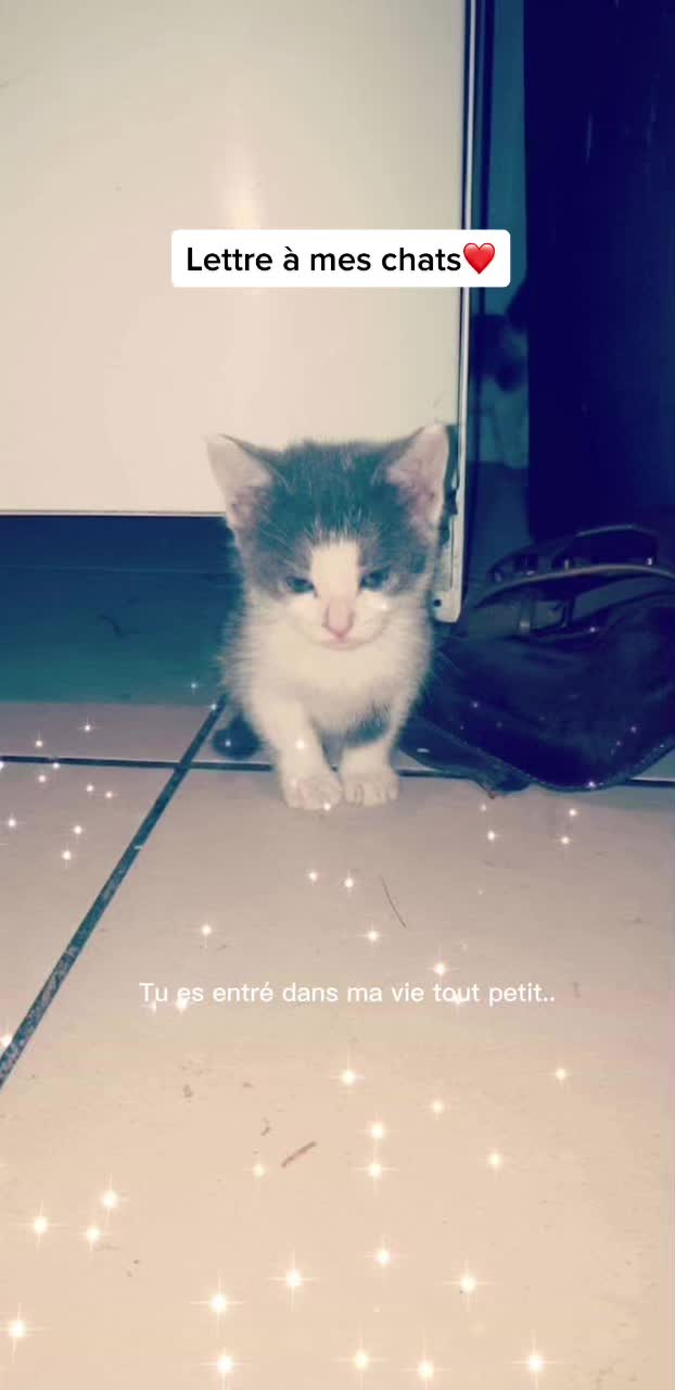 @Laetitia Huret