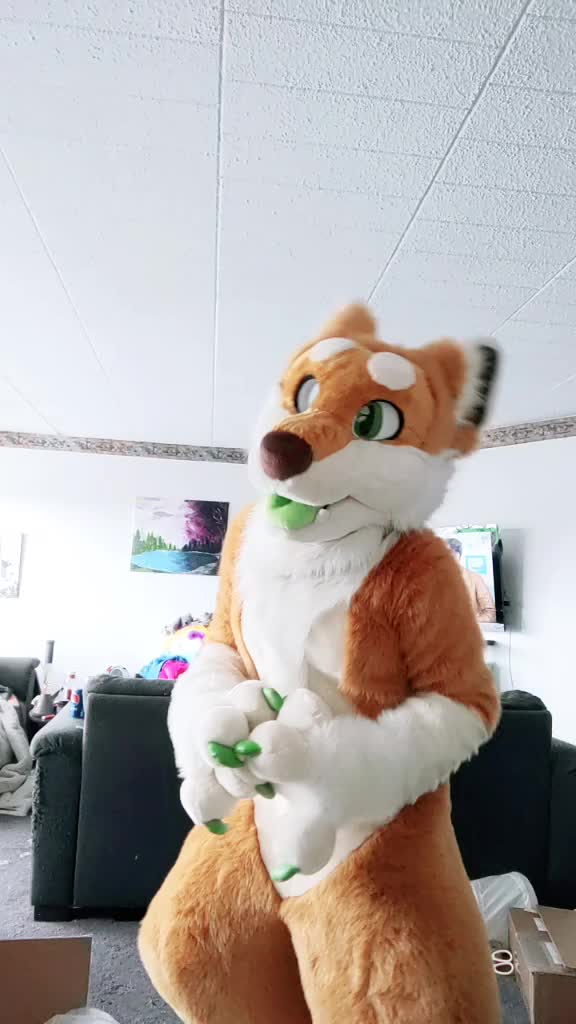 @CookieShiba
