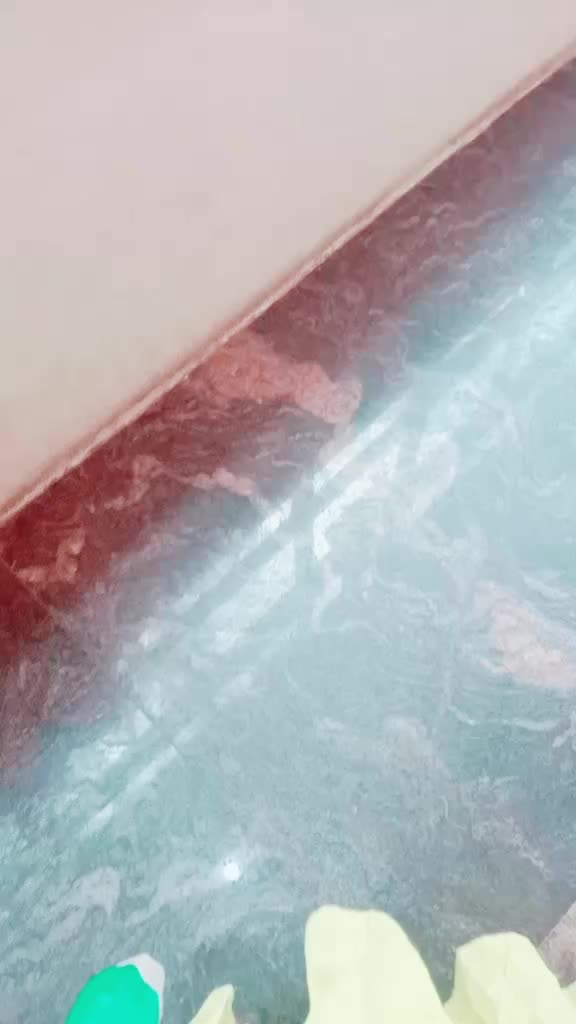 @varshiniskvarshu