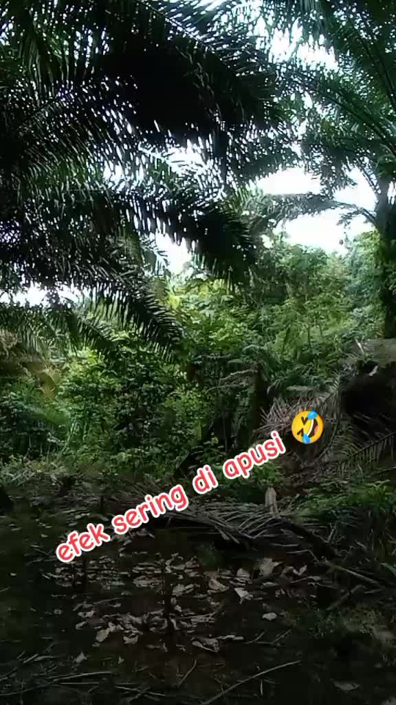 @wulandari
