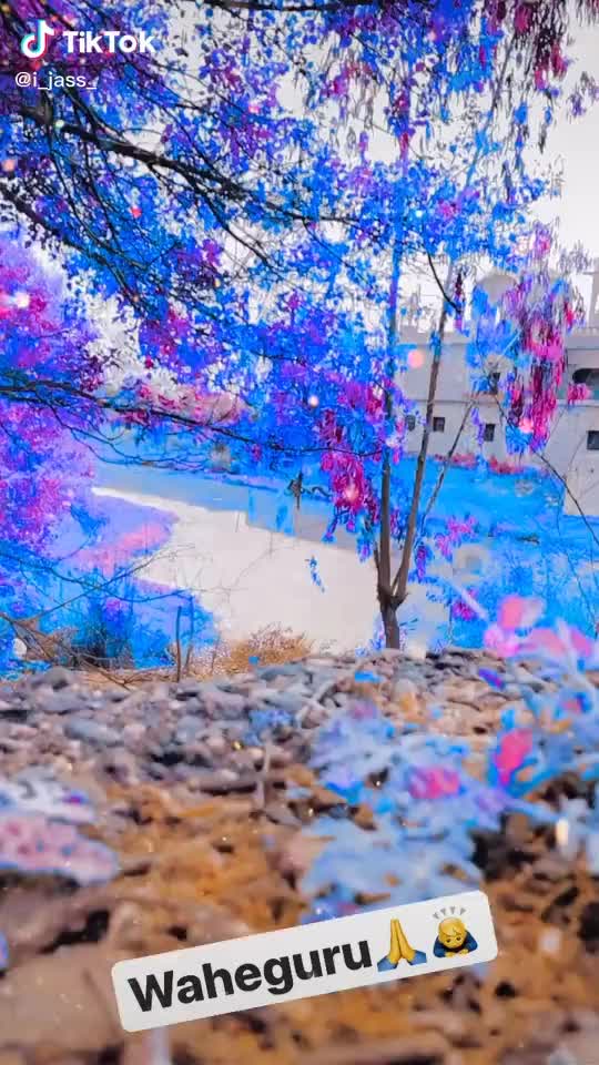 @user2901770524929