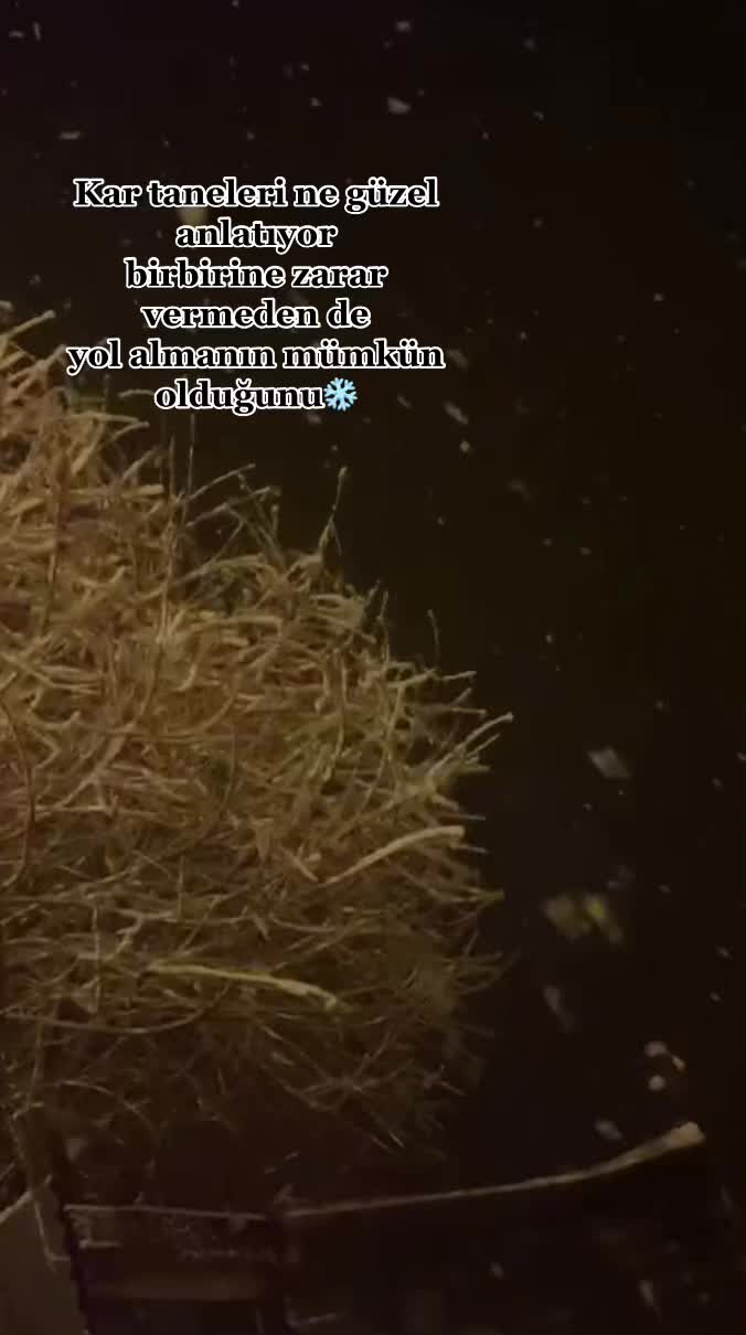 @4KızKardeş🤞🏼