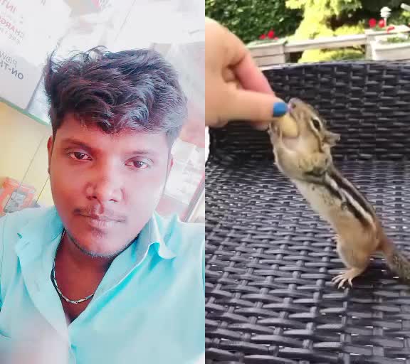 @manibala