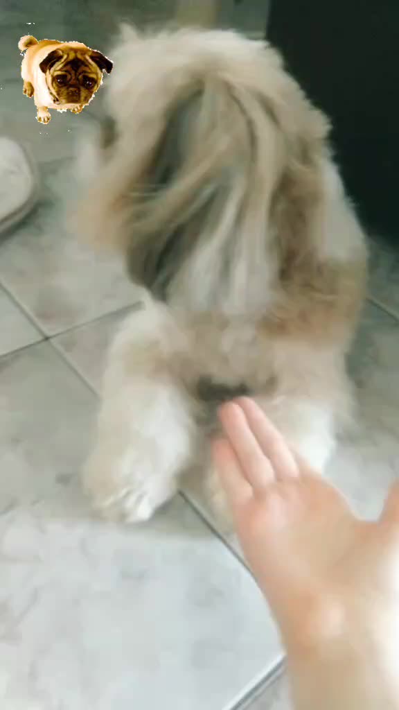 @juliamafei