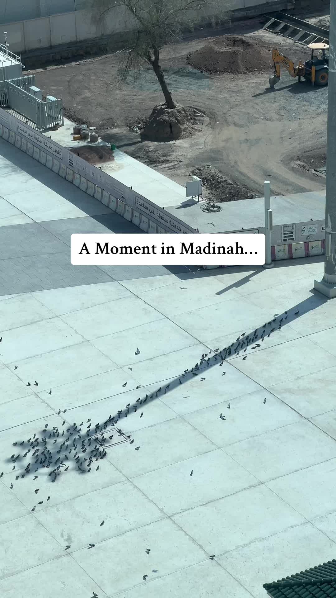 @Muslim Sphere