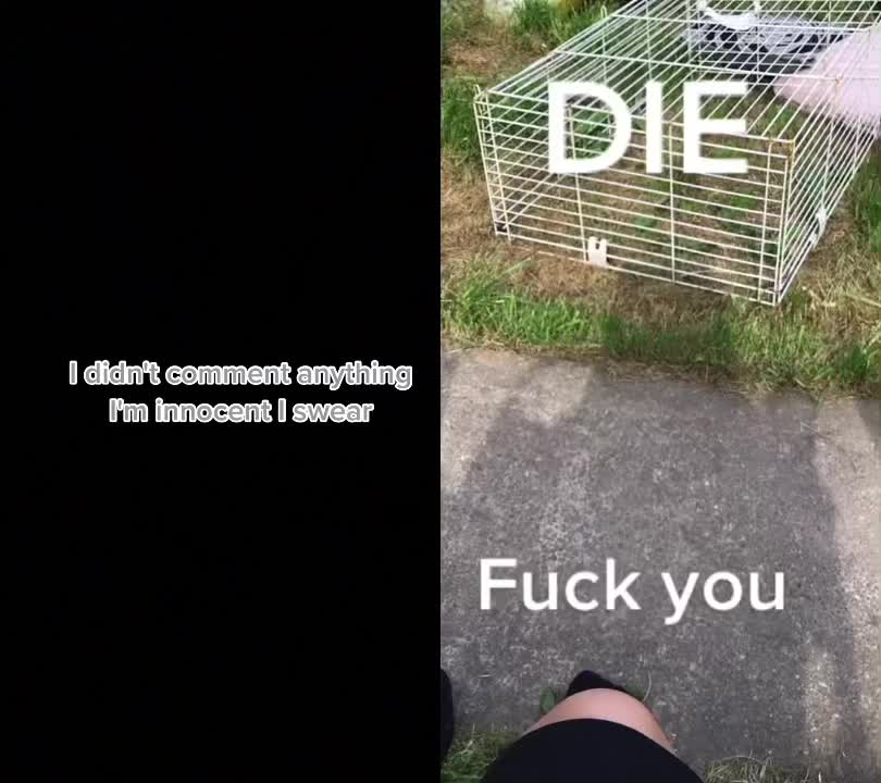 @KADEN