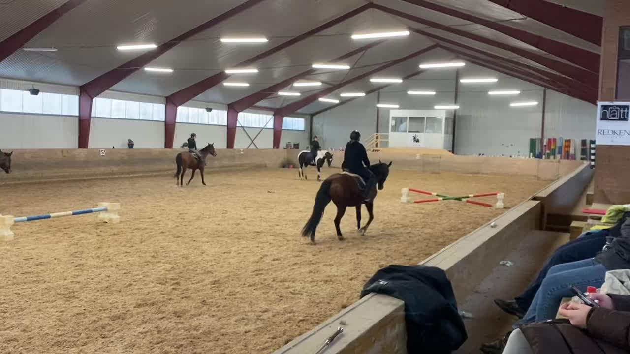 @🐎Ridning🐎 {3,8K}