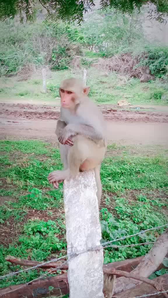 @pushpalatha 143