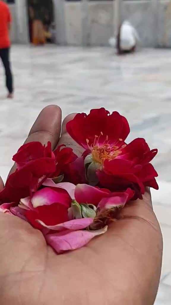@Javed Qureshi