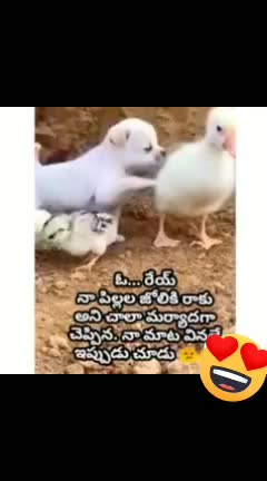@@chinnu___chinni