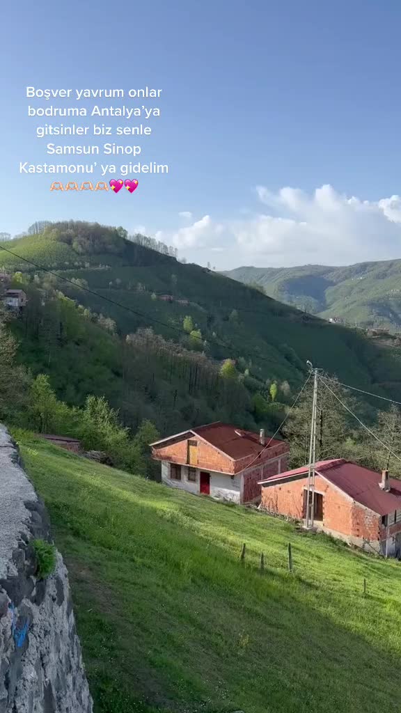 @Bearr