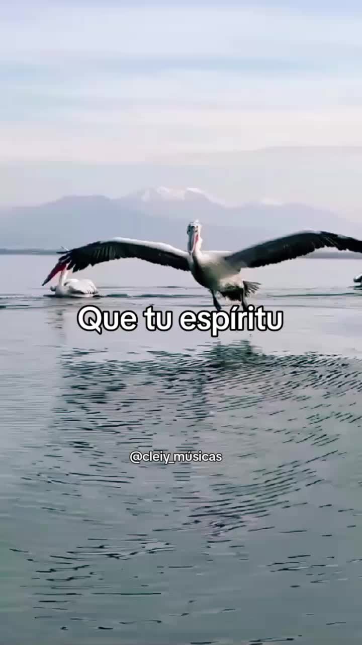 @Cleiy_m&uacute;sicas