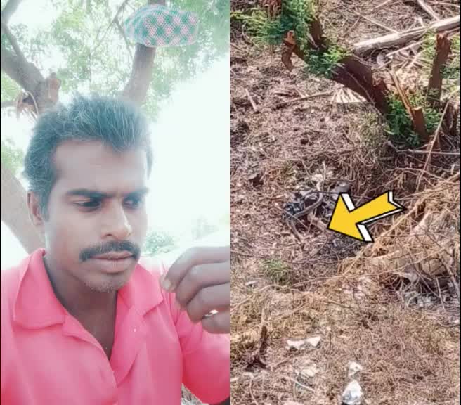 @முருகேசன்