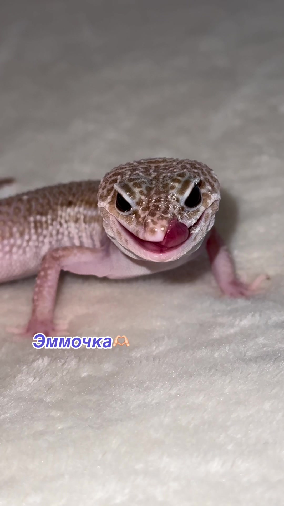 @_.v_snail_v._