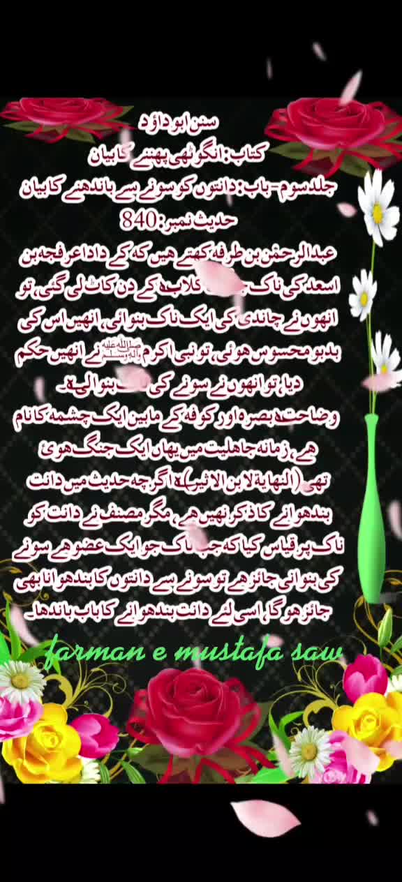 @Max Info