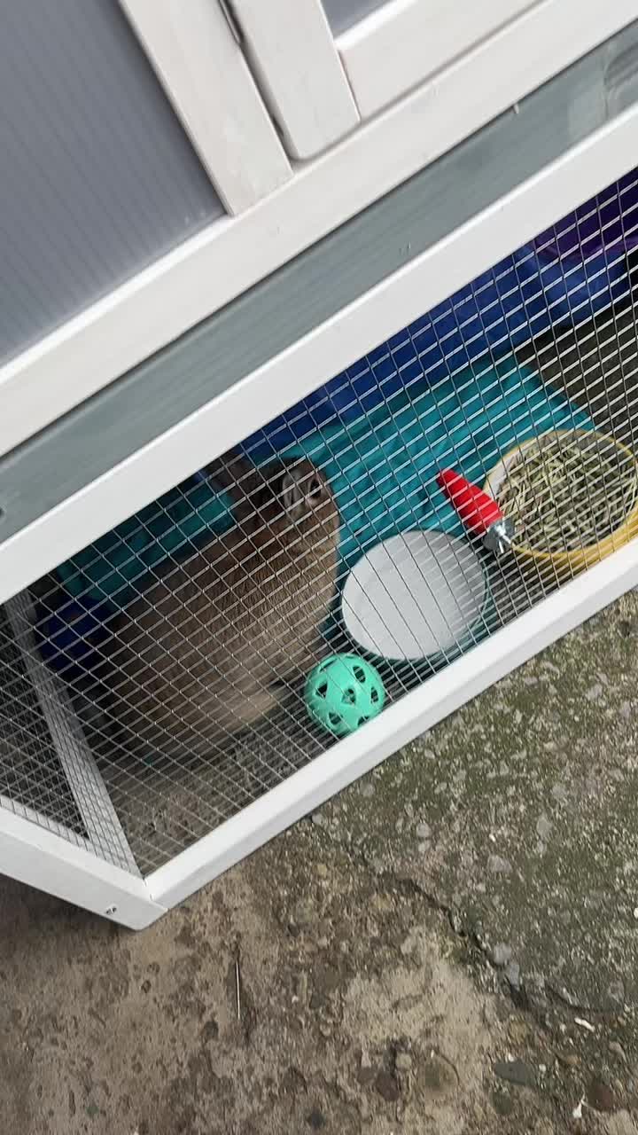 @Bugz_adventures 💙🐰