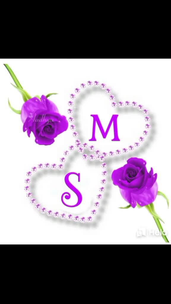 @saik72549