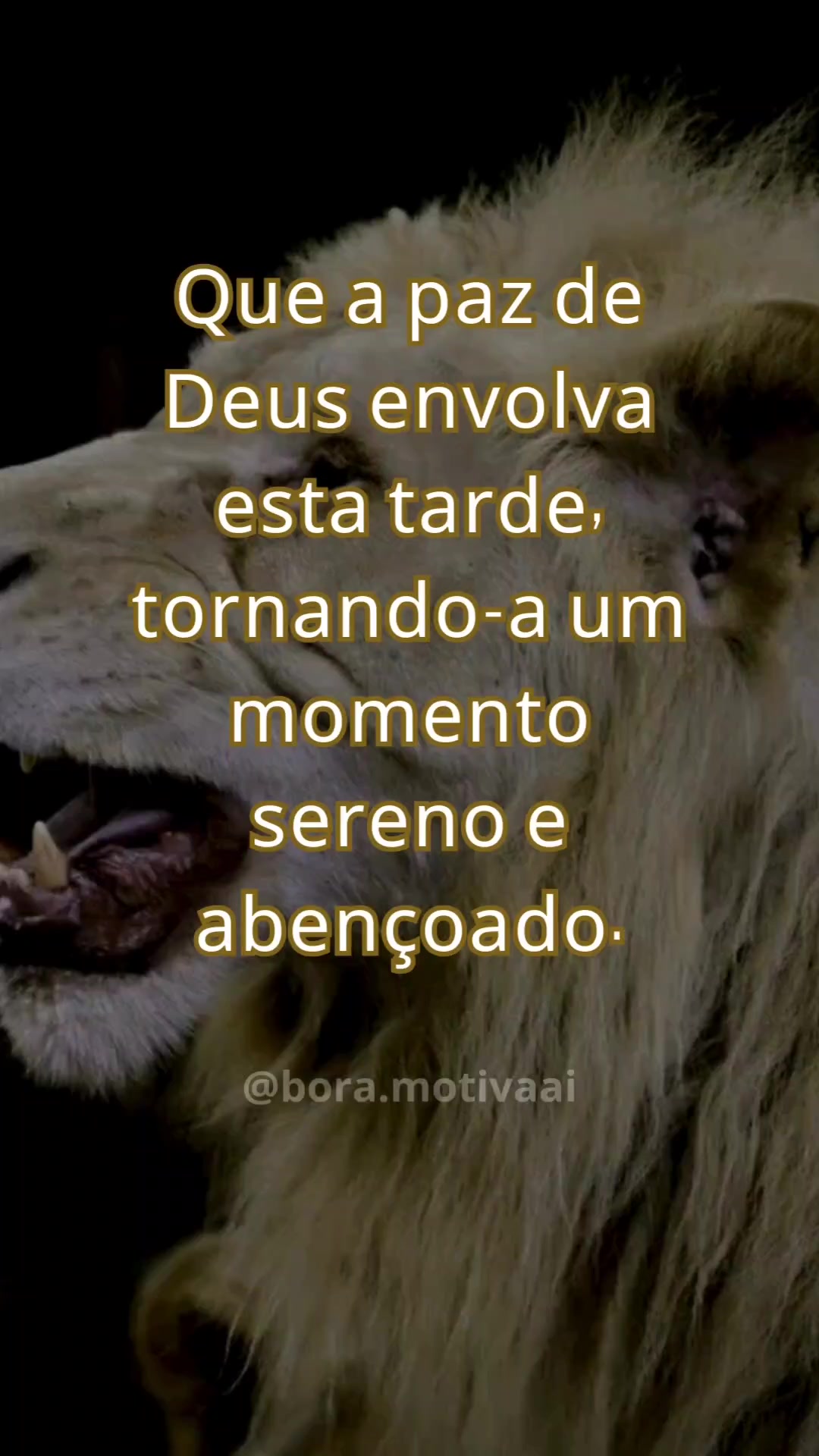 @Bora Rezar