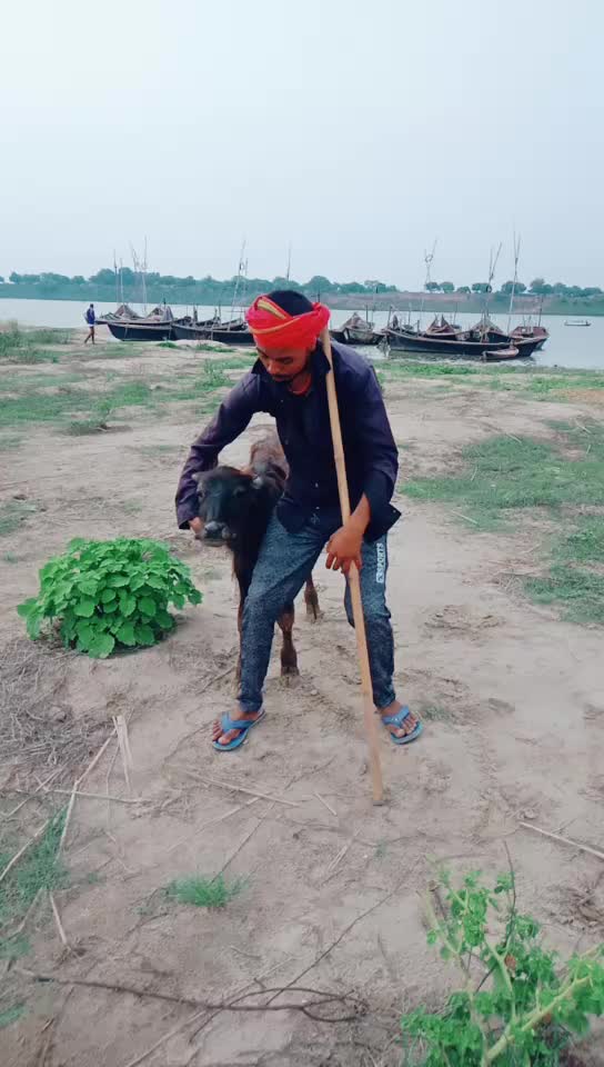 @Mishari lal299019