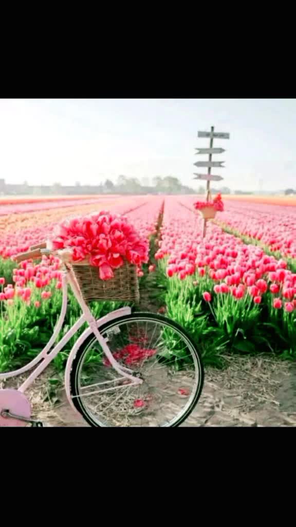 @user09469222006