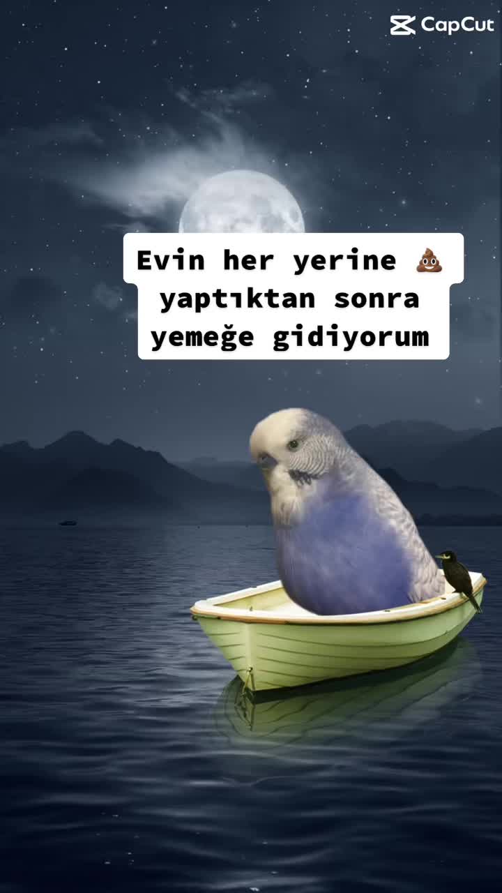 @duru