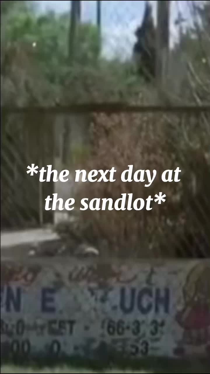 @sandlot