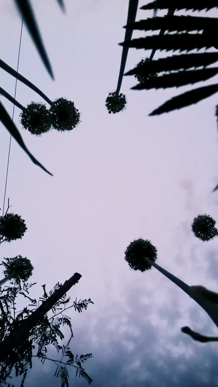 @Faizaghaniart