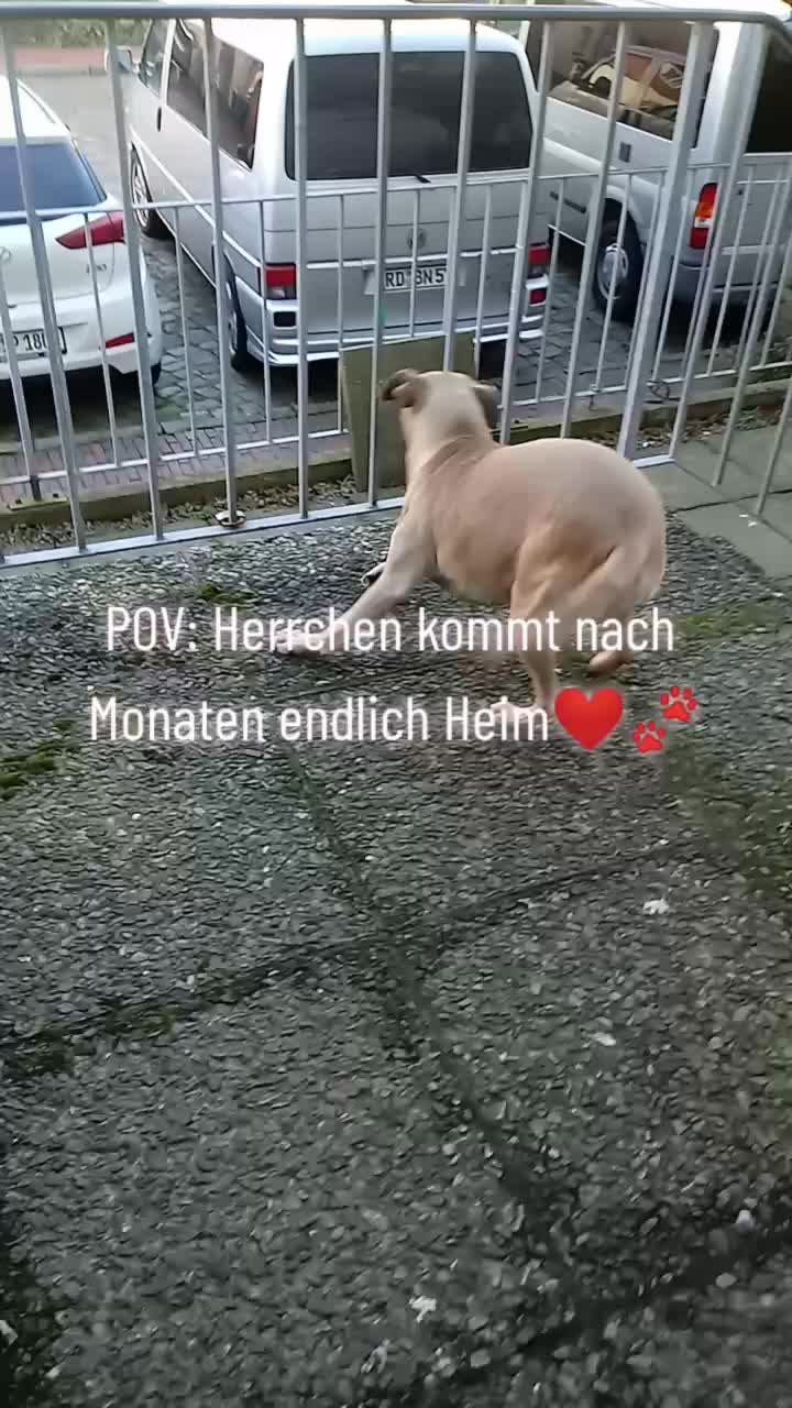 @Runa's Welt 🐾