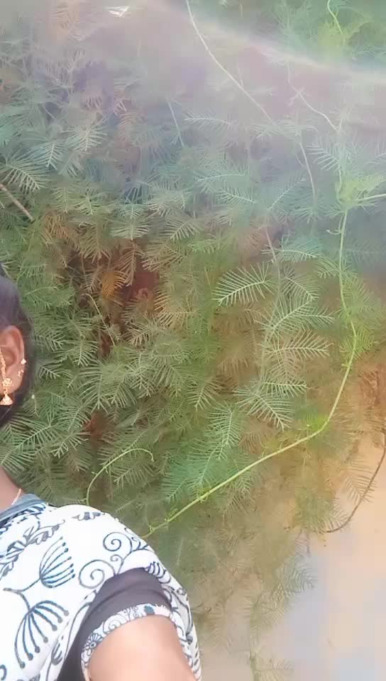 @Neela vathi