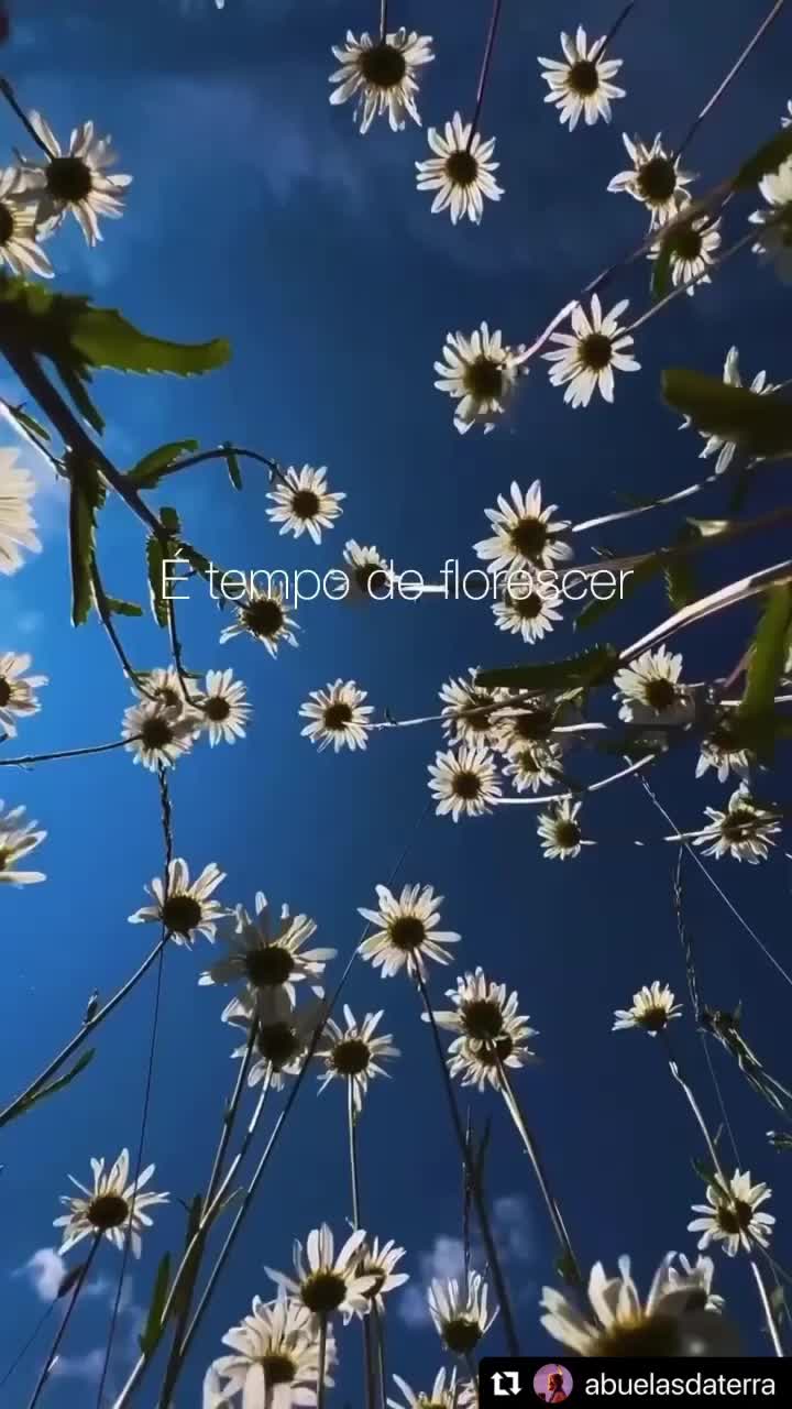 @Propósito DEC