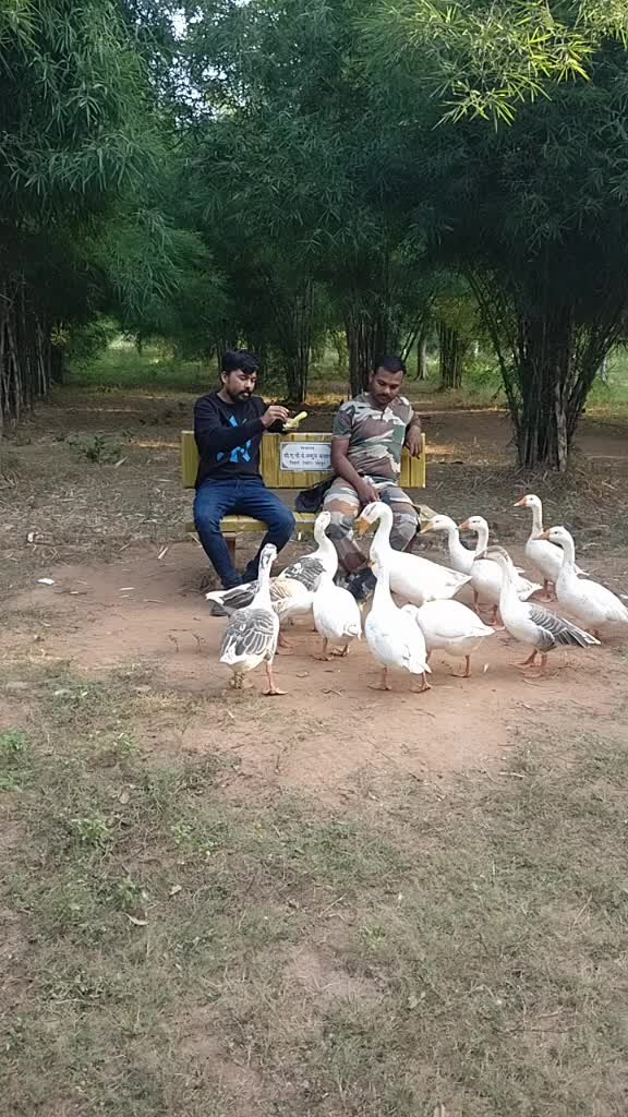 @user27420621048