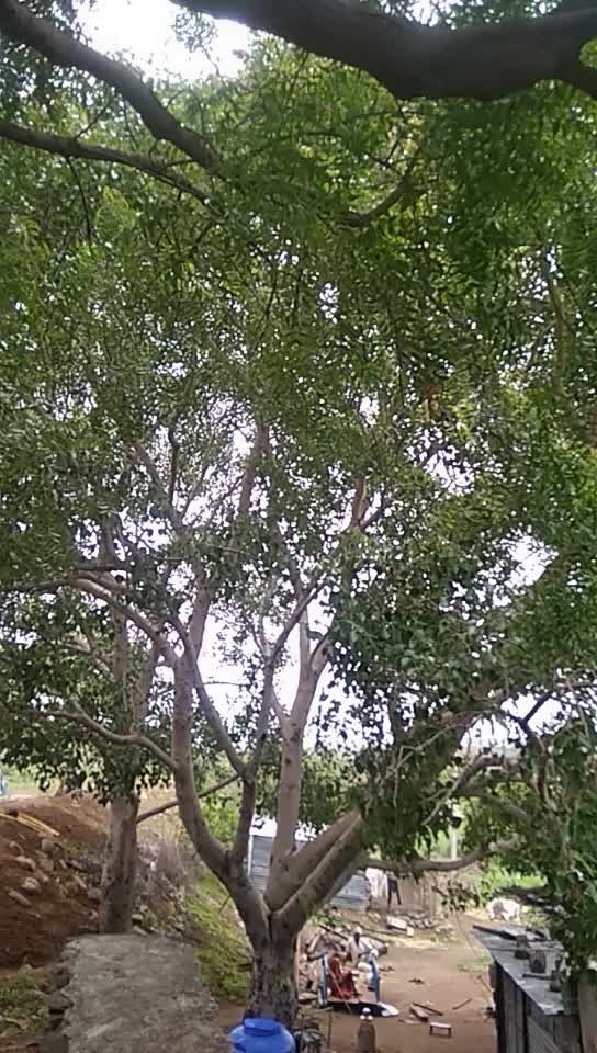 @AtulJadhav9764