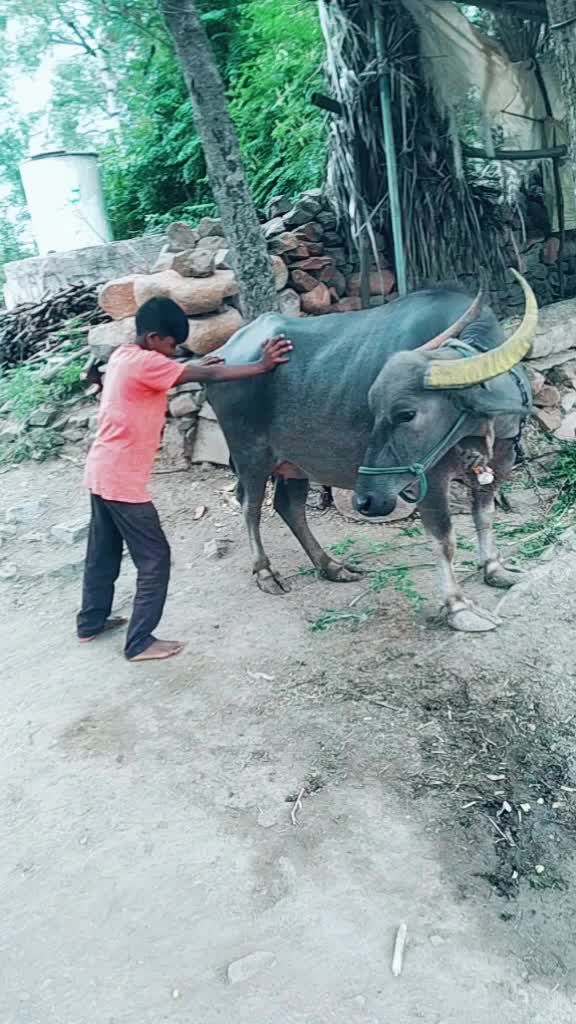 @ajay 935323
