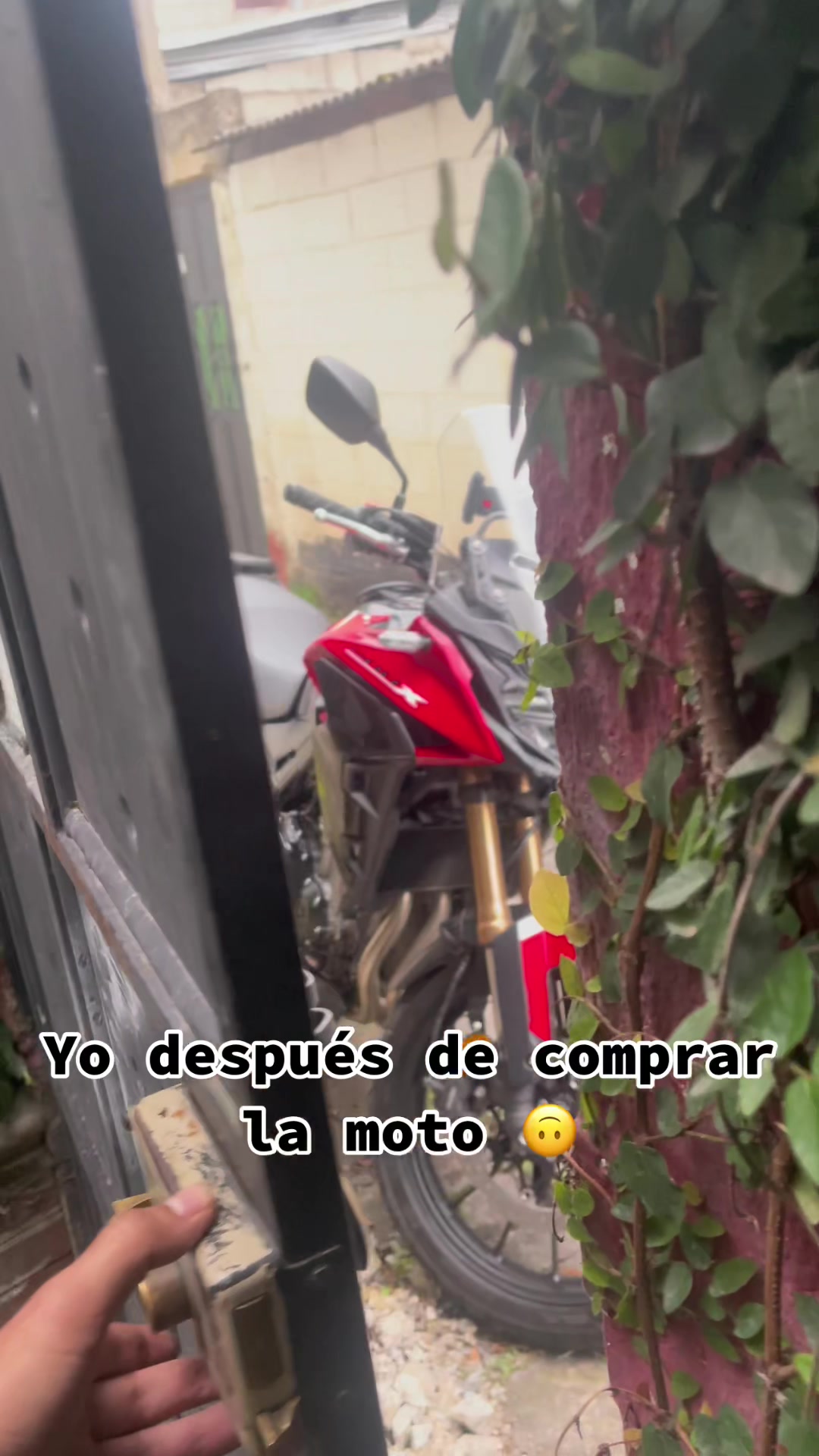 @Giovanni. ✅