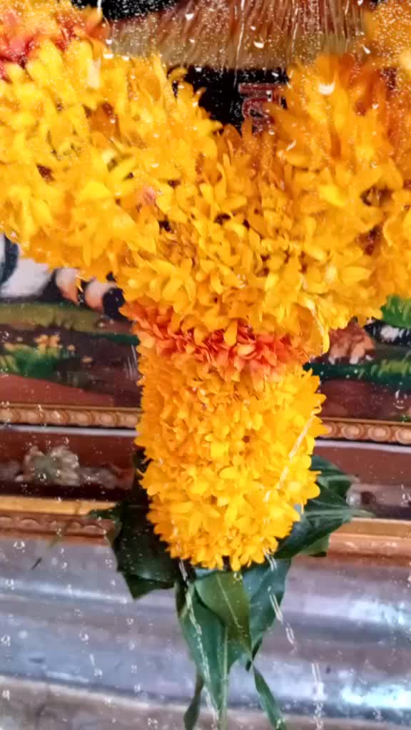 @Ahemad_Shaikh