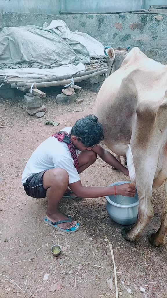 @prabha king