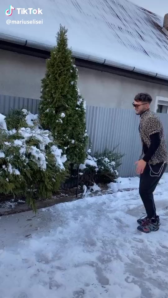 @fan.marius.elisei.20